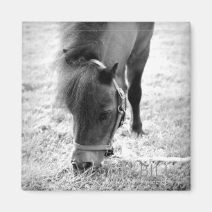 Aimant Cheval photo intemporelle Keepsaké noir blanc anim