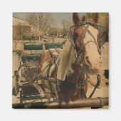 Aimant Cheval Pinto Buggy (Devant)