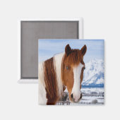Aimant Cheval Pinto Mount Moran en hiver (Recto/Verso)