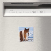 Aimant Cheval Pinto Mount Moran en hiver (In Situ (Lave-vaisselle))