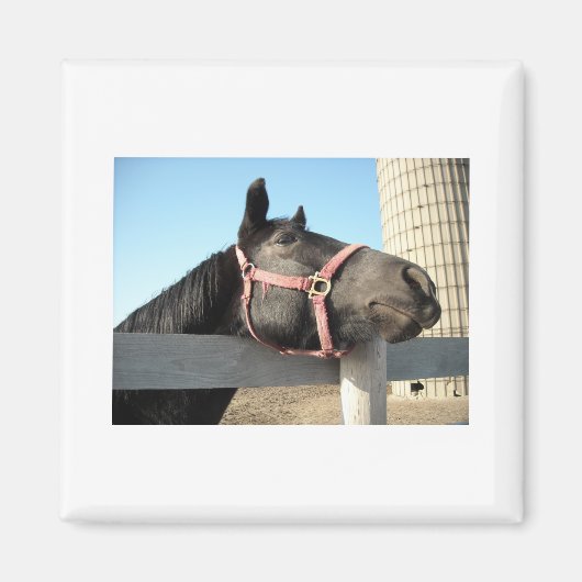 Aimant Cheval/Ranch/Grange (Devant)