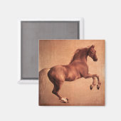 AIMANT CHEVAL ROUGE (Recto/Verso)