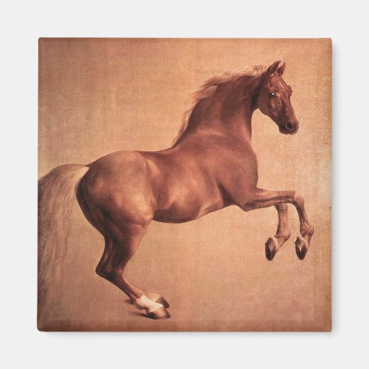 AIMANT CHEVAL ROUGE (Devant)