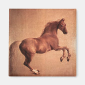 AIMANT CHEVAL ROUGE (Devant)