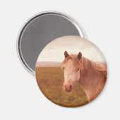 Aimant Cheval sauvage vintage (Recto/Verso)