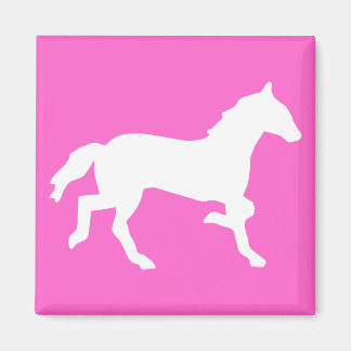 Aimant cheval simple