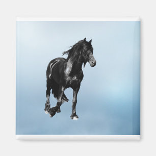 Aimant Cheval tournant soudainement