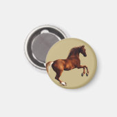 Aimant Cheval Whistlejacket par George Stubbs (Recto/Verso)
