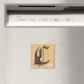 Aimant Chevalier rouillé C initial (In Situ (Lave-vaisselle))