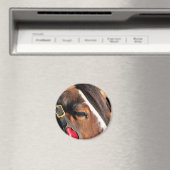 AIMANT CHEVAUX (In Situ (Lave-vaisselle))