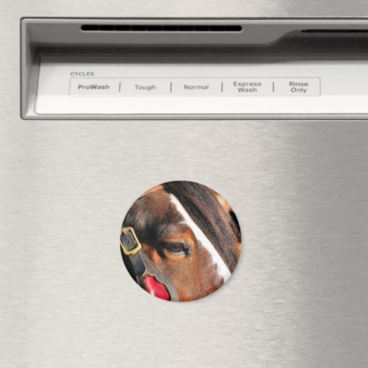 AIMANT CHEVAUX (In Situ (Lave-vaisselle))