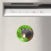 AIMANT CHEVAUX (In Situ (Lave-vaisselle))