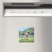 AIMANT CHEVAUX (In Situ (Lave-vaisselle))