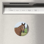 Aimant Chevaux (In Situ (Lave-vaisselle))