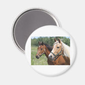 Aimant Chevaux (Recto/Verso)