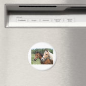 Aimant Chevaux (In Situ (Lave-vaisselle))
