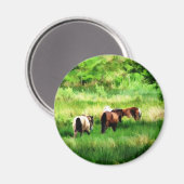 AIMANT CHEVAUX (Recto/Verso)