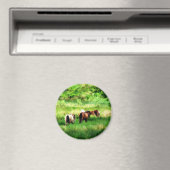 AIMANT CHEVAUX (In Situ (Lave-vaisselle))