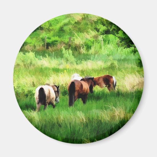 AIMANT CHEVAUX (Devant)