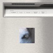 AIMANT CHEVAUX (In Situ (Lave-vaisselle))