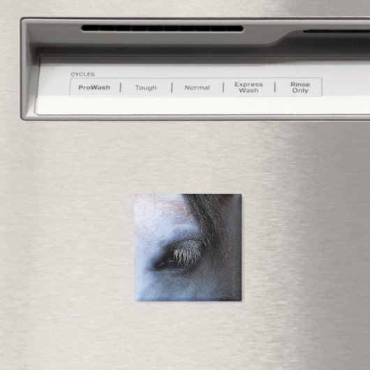 AIMANT CHEVAUX (In Situ (Lave-vaisselle))