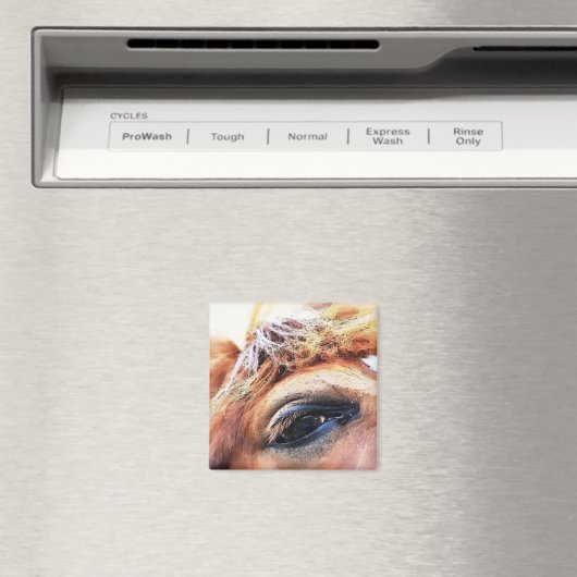 AIMANT CHEVAUX (In Situ (Lave-vaisselle))