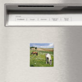 Aimant Chevaux (In Situ (Lave-vaisselle))
