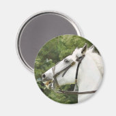 AIMANT CHEVAUX (Recto/Verso)