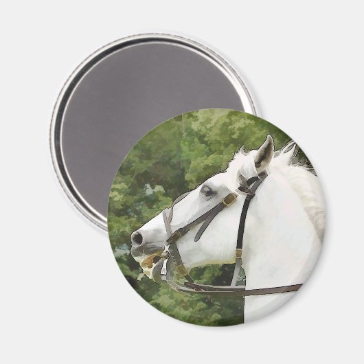 AIMANT CHEVAUX (Recto/Verso)