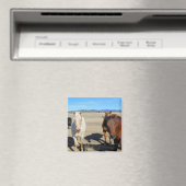 Aimant Chevaux (In Situ (Lave-vaisselle))