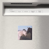 Aimant Chevaux (In Situ (Lave-vaisselle))