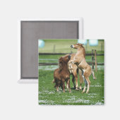 Aimant Chevaux 3 (Recto/Verso)