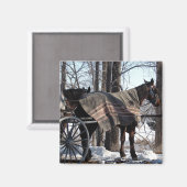 Aimant Chevaux Amish En Attente En Hiver (Recto/Verso)
