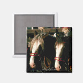 Aimant Chevaux avec coiffure (Recto/Verso)