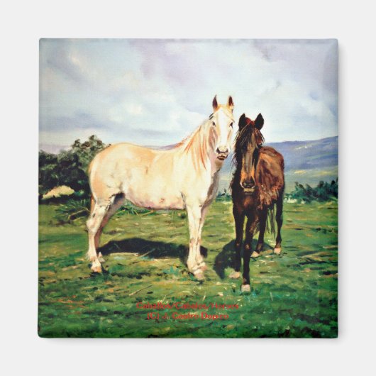 Aimant Chevaux/Chevaux/Cheval (Devant)