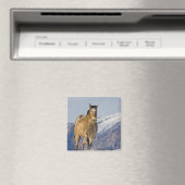 Aimant Chevaux courant dans la neige (In Situ (Lave-vaisselle))