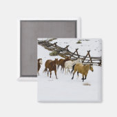 Aimant Chevaux courant dans la neige (Recto/Verso)