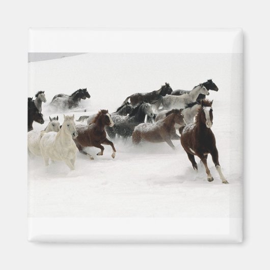 Aimant Chevaux dans la neige (Devant)