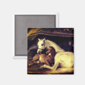 Aimant Chevaux d'atterrisseur (Recto/Verso)