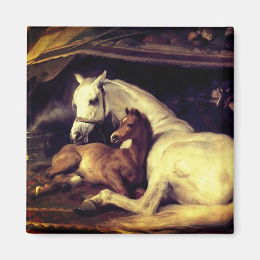 Aimant Chevaux d'atterrisseur (Devant)