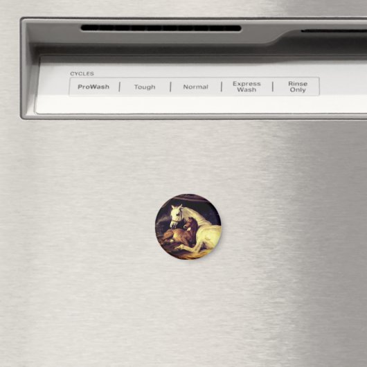 Aimant Chevaux d'atterrisseur (In Situ (Lave-vaisselle))