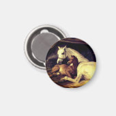 Aimant Chevaux d'atterrisseur (Recto/Verso)