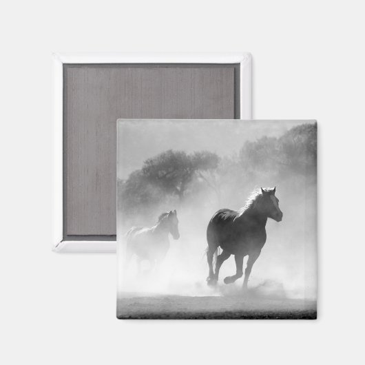 Aimant Chevaux de course noir et blanc Photo Artwork (Recto/Verso)