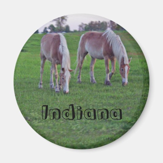 Aimant Chevaux de l'Indiana (Devant)