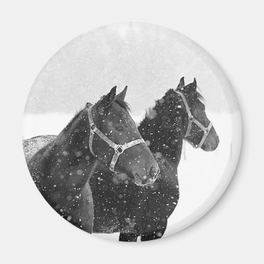Aimant Chevaux de neige (Devant)