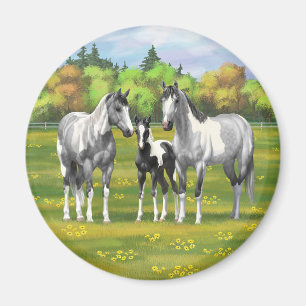 Aimant Chevaux De Peinture Gris De Pâte De Poisson En Été