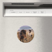 Aimant Chevaux d'Islande (In Situ (Lave-vaisselle))