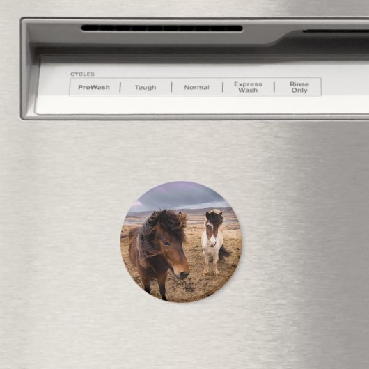 Aimant Chevaux d'Islande (In Situ (Lave-vaisselle))