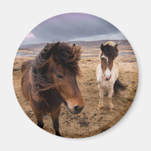 Aimant Chevaux d'Islande