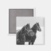 Aimant Chevaux en chute de neige (Recto/Verso)